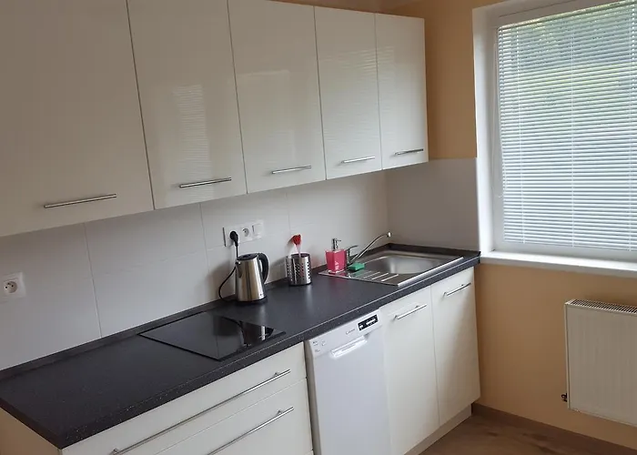 Apartment Apartma Andelka Lipová-lázně